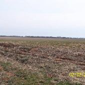 Cherokee Dirt Road