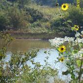River Springs Nature and Hiking Trail