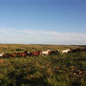 Hughes Ranch