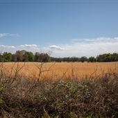 E 770 Rd Landscape