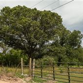 E 888 Rd Field
