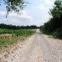 Harrah Cornfields