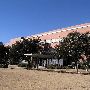 Lucent Technologies