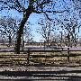 Mineral Wells Park