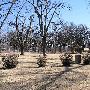 Mineral Wells Park
