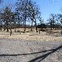 Mineral Wells Park