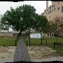 Oklahoma City National Memorial & Museum