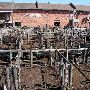 Oklahoma City Stockyards
