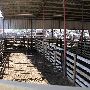Oklahoma City Stockyards