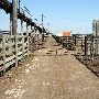 Oklahoma City Stockyards