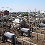 Oklahoma City Stockyards