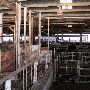 Oklahoma City Stockyards