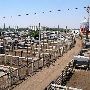 Oklahoma City Stockyards
