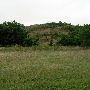 Strain Ranch