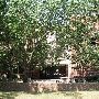University of Oklahoma Campus