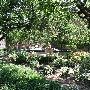 University of Oklahoma Campus
