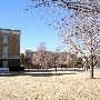 University of Science and Arts of Oklahoma- Willard Hall