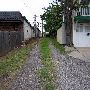 University St