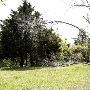 Wright's Cemetery