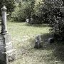 Wright's Cemetery