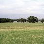 Tatanka Ranch