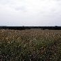 Tatanka Ranch