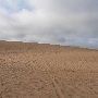 Little Sahara State Park