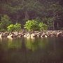 Beavers Bend & Hochatown State Park Lodge