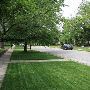 Mesta Park Historical Neighborhood