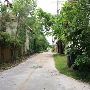 Mesta Park Historical Neighborhood