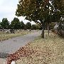 Gracelawn Cemetery