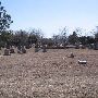 Gracelawn Cemetery