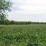 Sugarloaf Ranch