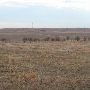 Hughes Ranch