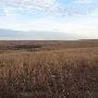 Hughes Ranch