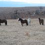 Hughes Ranch
