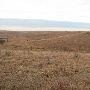 Hughes Ranch