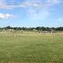 Lightning Creek Park
