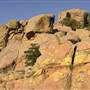 Mount Scott