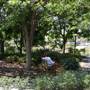 Myriad Botanical Gardens