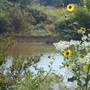 River Springs Nature and Hiking Trail