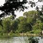 Boiling Springs State Park
