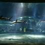Oklahoma Aquarium - Jenks