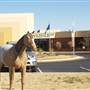 Comanche National Museum and Cultural Center