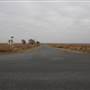 Woodward Intersection N1900 RD & E0390 RD