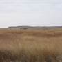 Woodward Intersection N1900 RD & E0390 RD