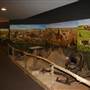 Plains Indians and Pioneers Museum