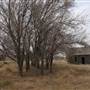 Old Barn and Farmhouse - EW 32