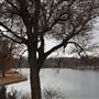 Sunset Lake at Thompson Park