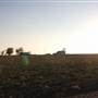 McBee Ranch